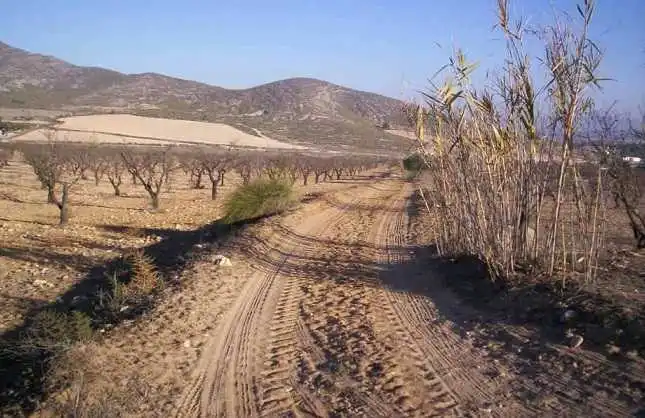 Rural land for sale in PL 20, imagen 7