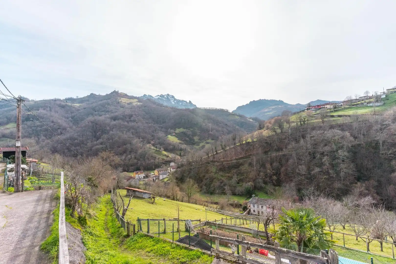 Jardí de Casa o xalet en venda en Laviana amb Jardí privat