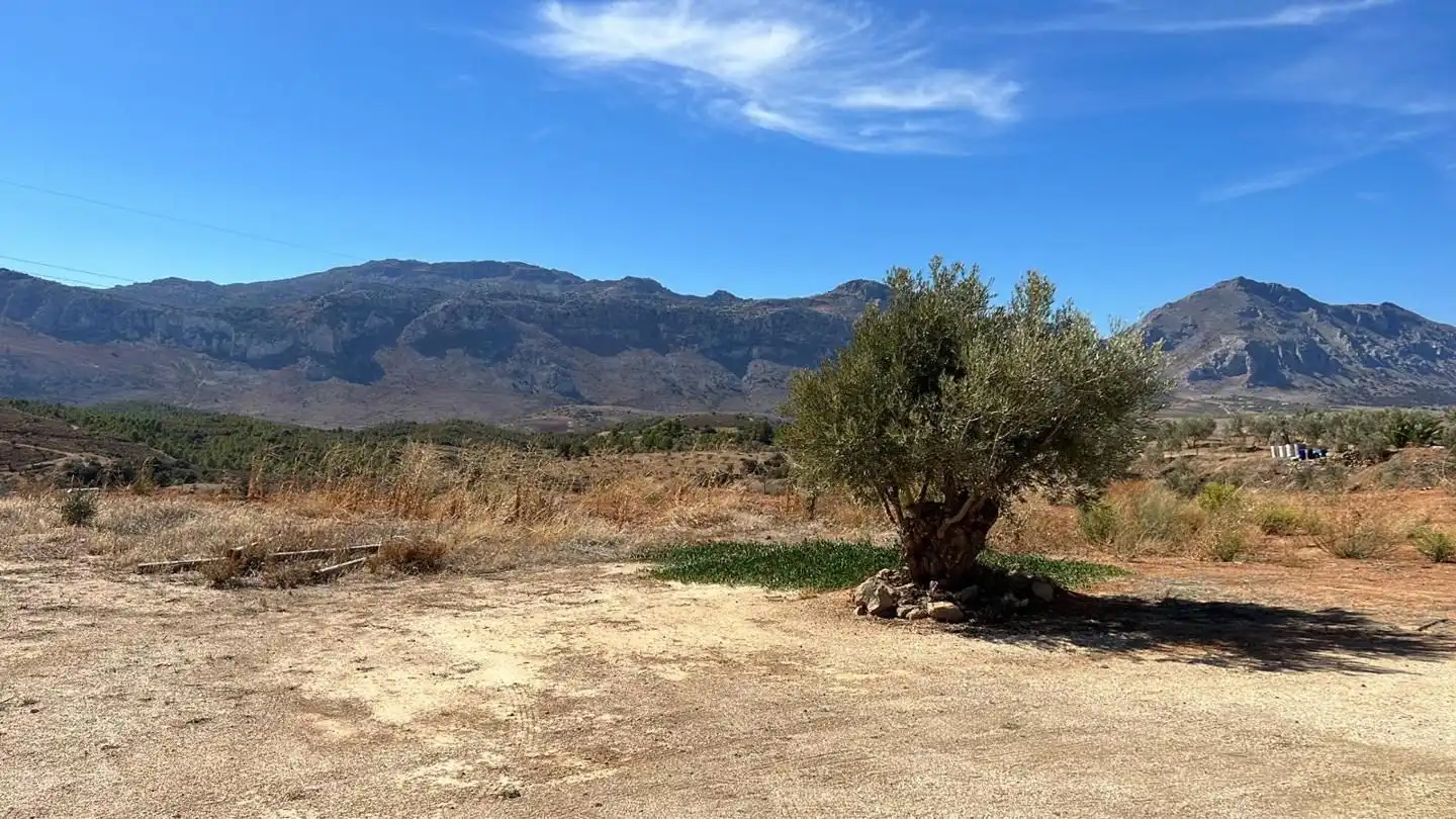 Lands and plots for sale in Cueva de Menga, imagen 21
