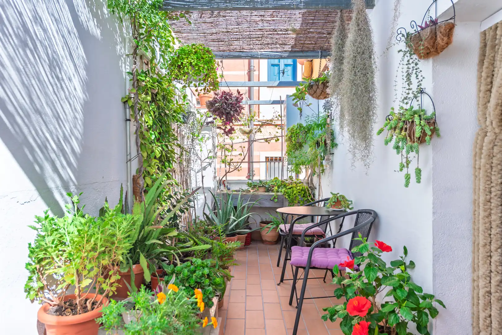 Maison jumelée à vendre à Carrer de l'Algavira, imagen 27