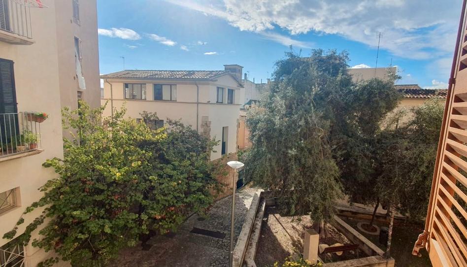 Foto 1 de Pis de lloguer a Es Puig de Sant Pere, Illes Balears