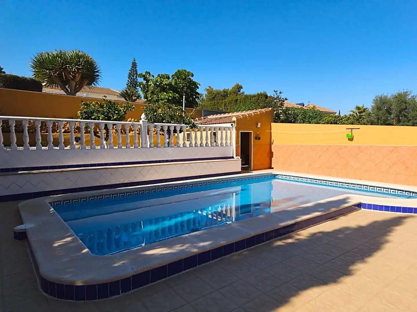 Piscina de Casa o xalet en venda en Torrevieja amb Piscina i Jacuzzi