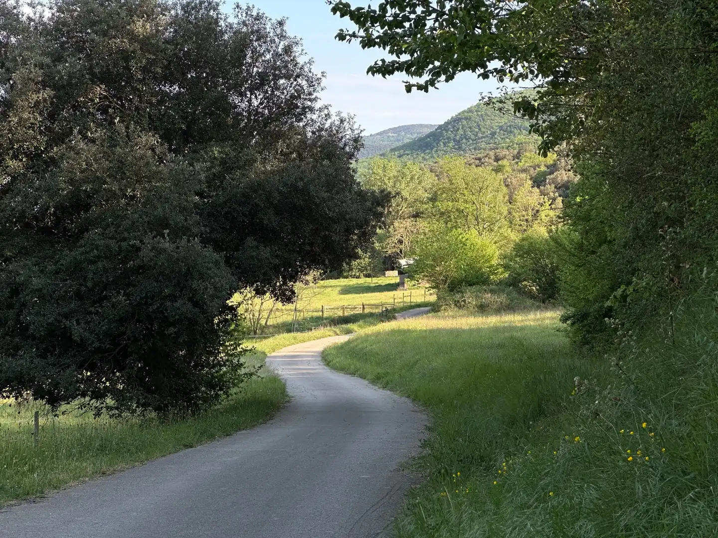 Xalet amb piscina en venda a Carretera de Santa Pau 32, imagen 34