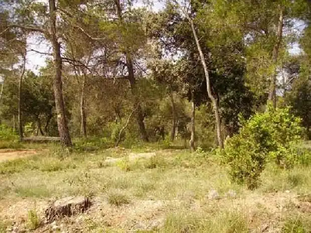 Terreno residenziale in vendita a Seva, imagen 4