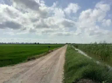 Terrain rustique à vendre à Pt Acequia, imagen 6