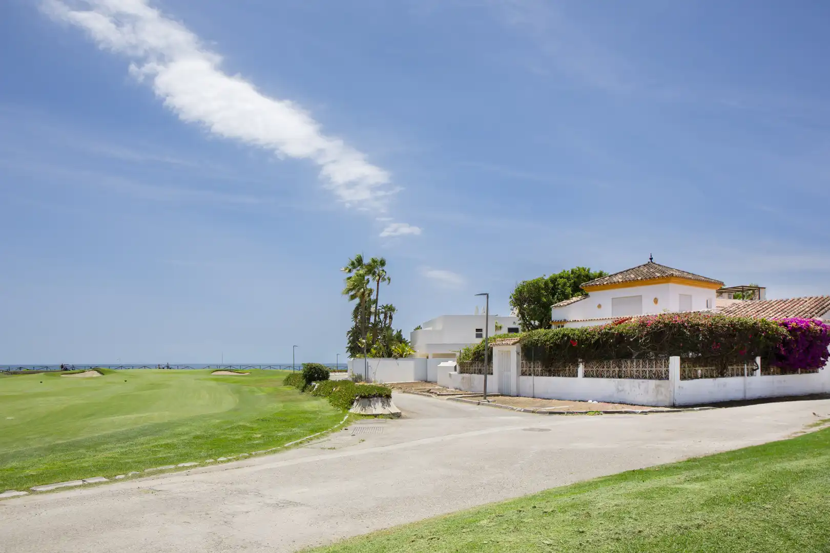 Exterior view of Houses for sale in Marbella  with Private garden, Terrace and Furnished
