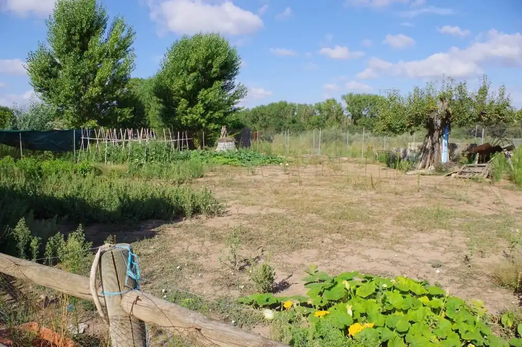 Wohnbaugrundstück zum Verkauf in El Cortijo, imagen 3