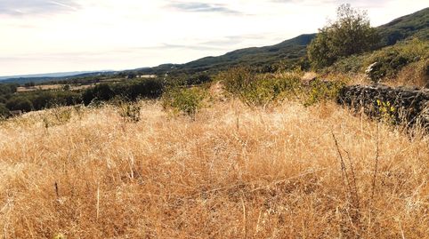 VENTA DE FINCA CON CASA EN EL VALLE DEL JERTE, immagine 2