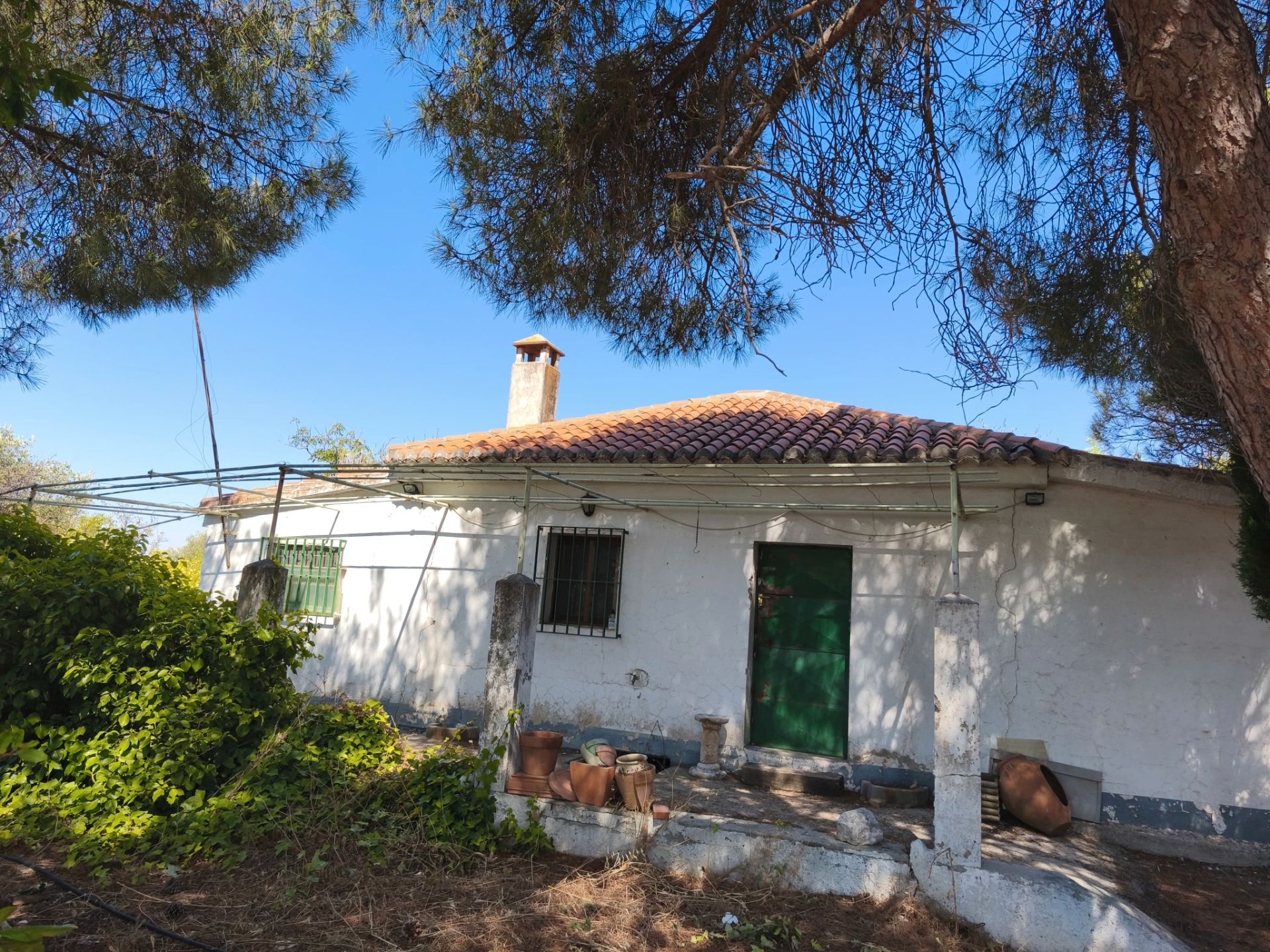 Finca rústica en venta en Carranque