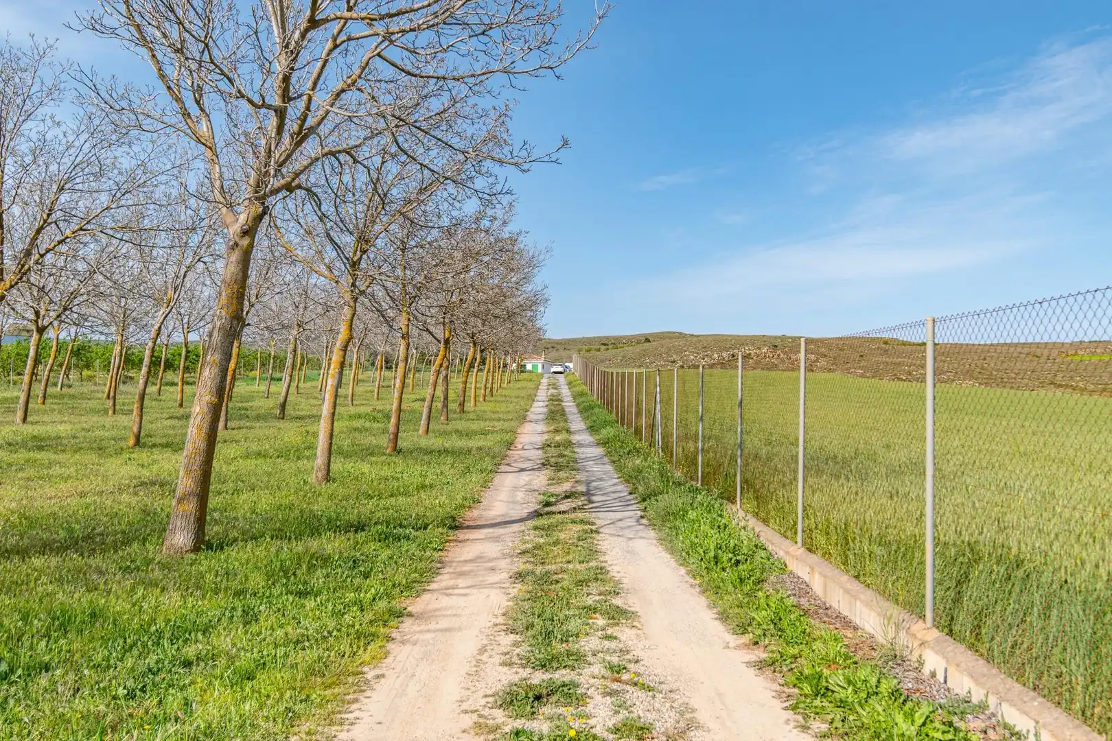 Rural land for sale in Padul, imagen 11