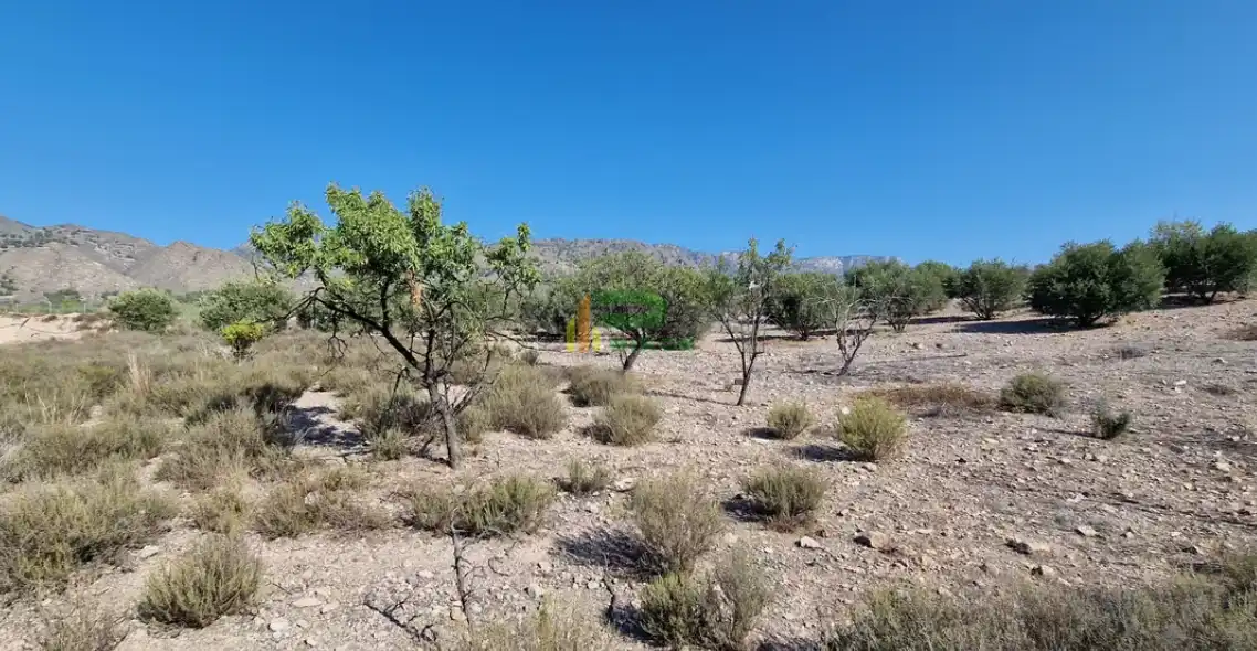 Lands and plots for sale in El saltador, imagen 19