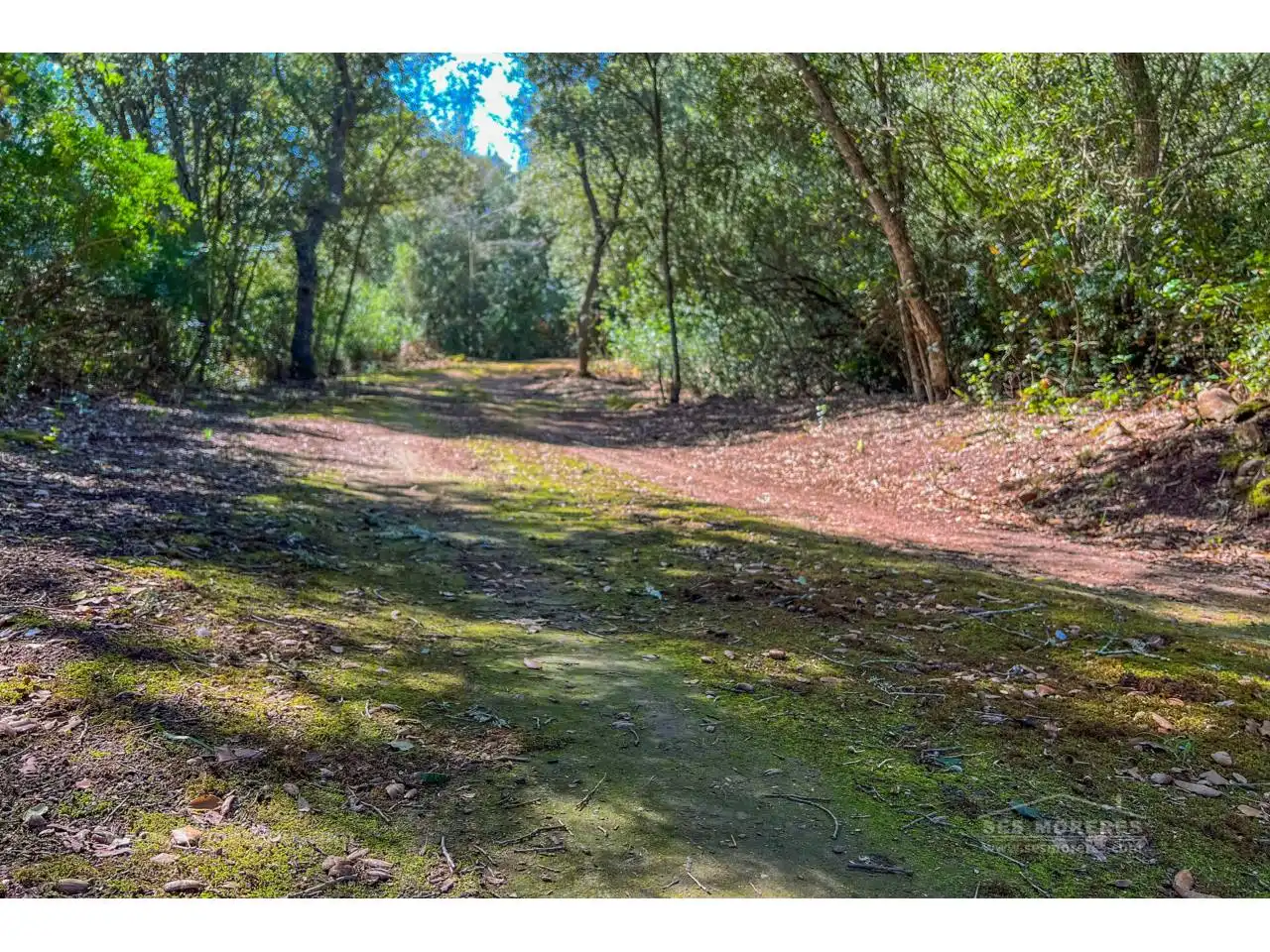 Finca rústica en venda en Es Mercadal amb Jardí privat i Terrassa