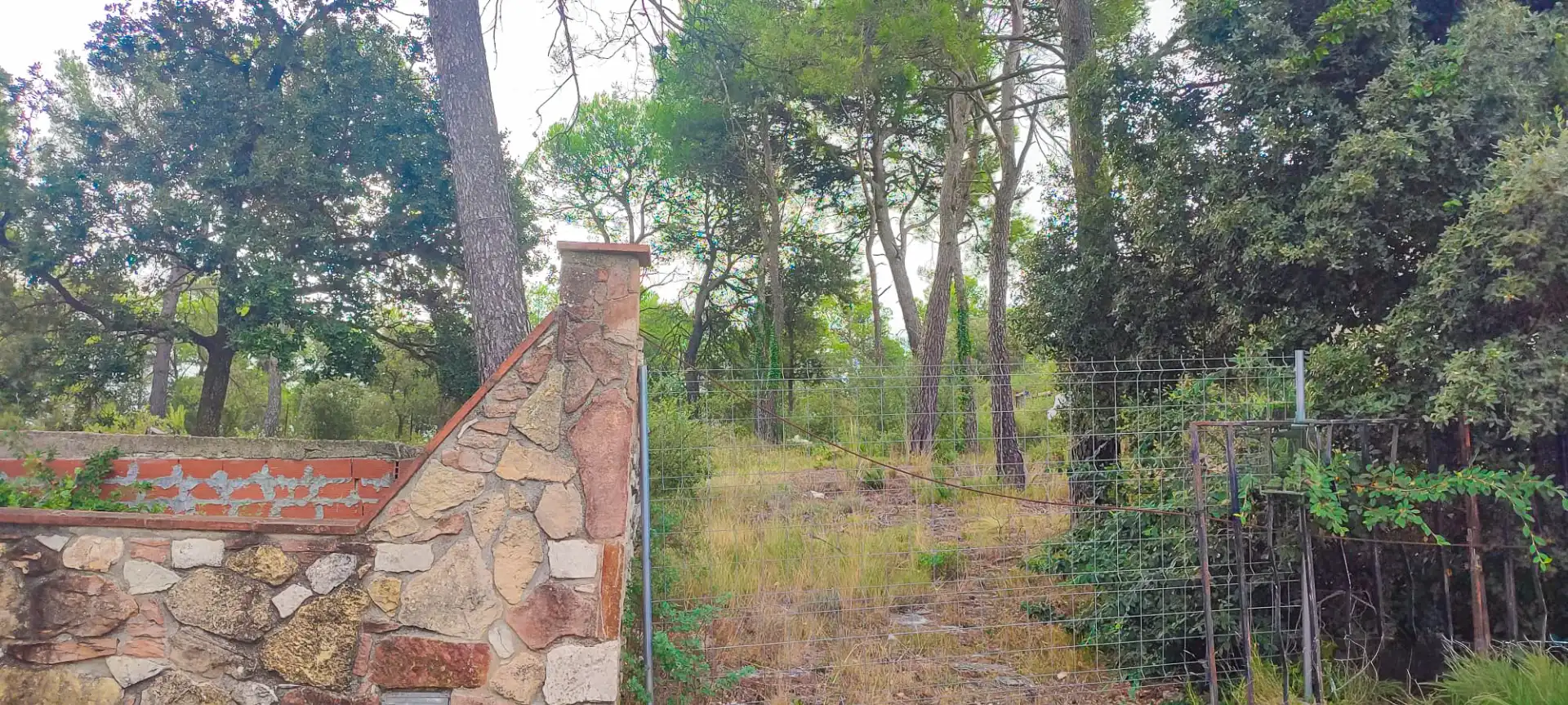 Terreny residencial en venda a Sant Vicenç de Castellet, imagen 5