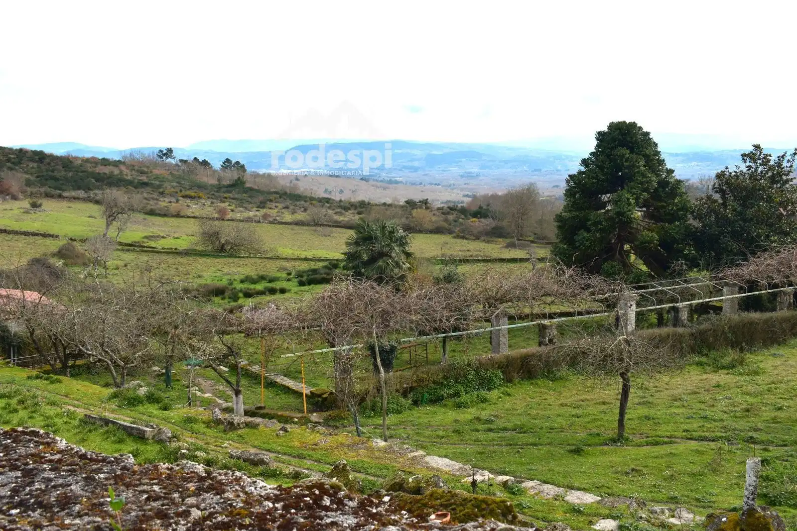 Buildings for sale in Pantón