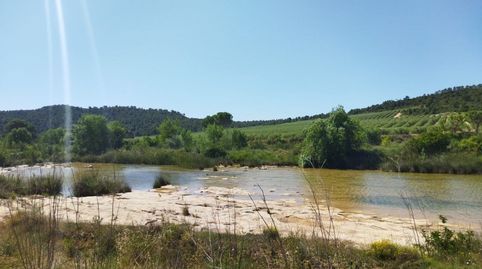 BATEA, FINCA DE 19 HECTÁREAS CON CASA DE CAMPO, REGADÍO Y SITUADA FRENTE AL RÍO ALGARS., immagine 3