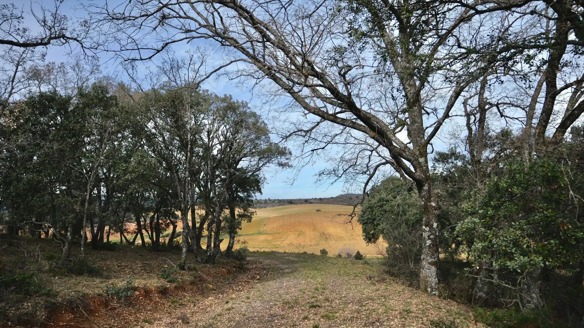 Land for sale in Arbancón