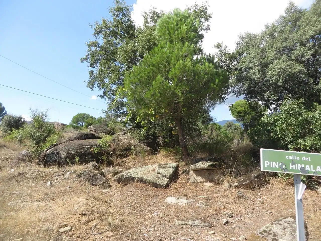 Terreni e lotti in vendita a El Tiemblo