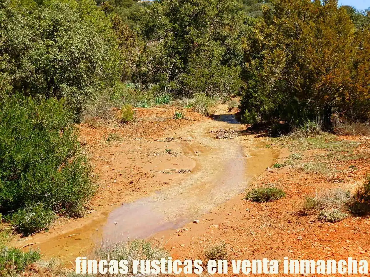 Lands and plots for sale in Ossa de Montiel, imagen 11