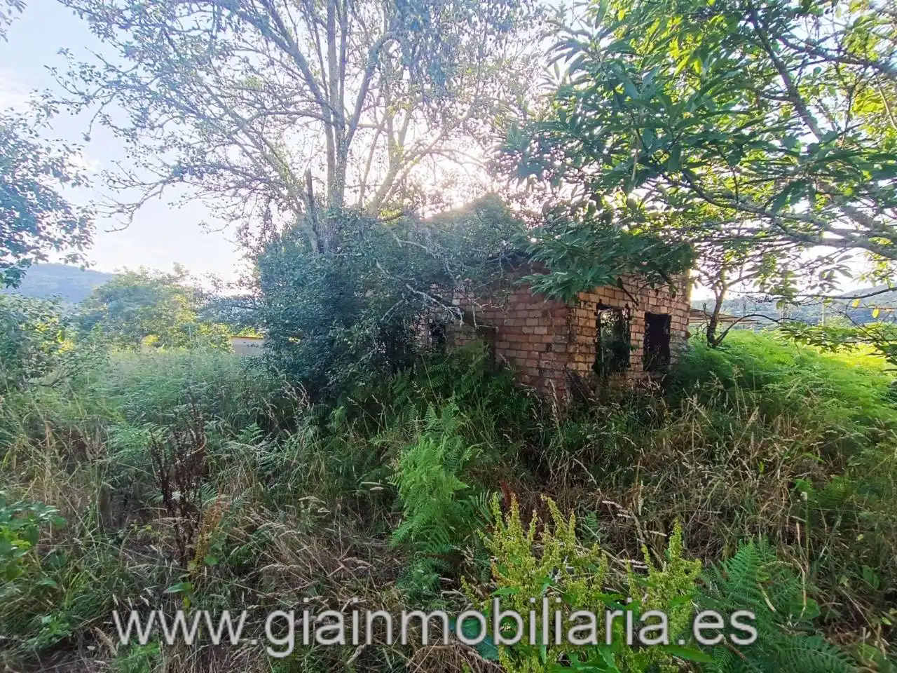 Casa en venta en Calle Ceo, imagen 7