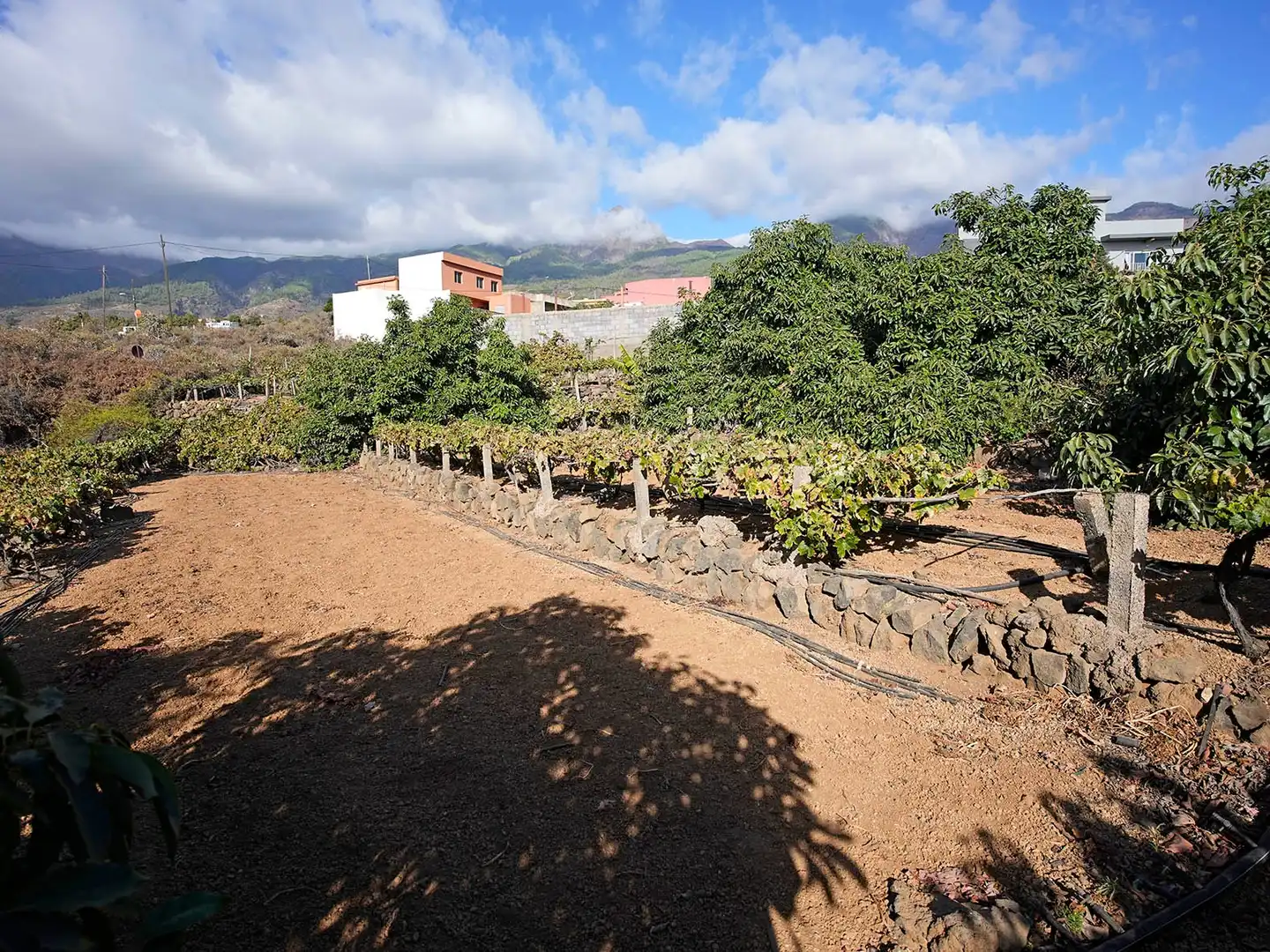 Vista exterior de Terreno en venta en Arafo, Santa Cruz de Tenerife