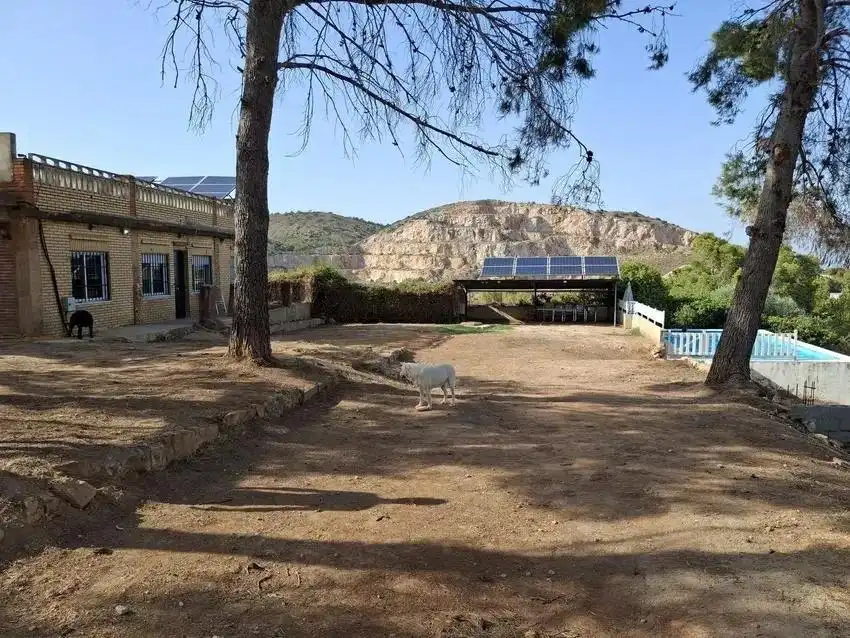 Jardín de Casa o chalet en venta en Torrent con Aire acondicionado, Jardín privado y Terraza