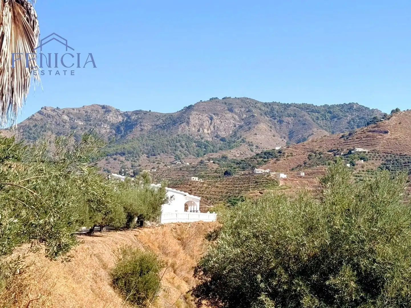 Vista exterior de Casa o chalet en venta en Almuñécar con Terraza, Trastero y Piscina
