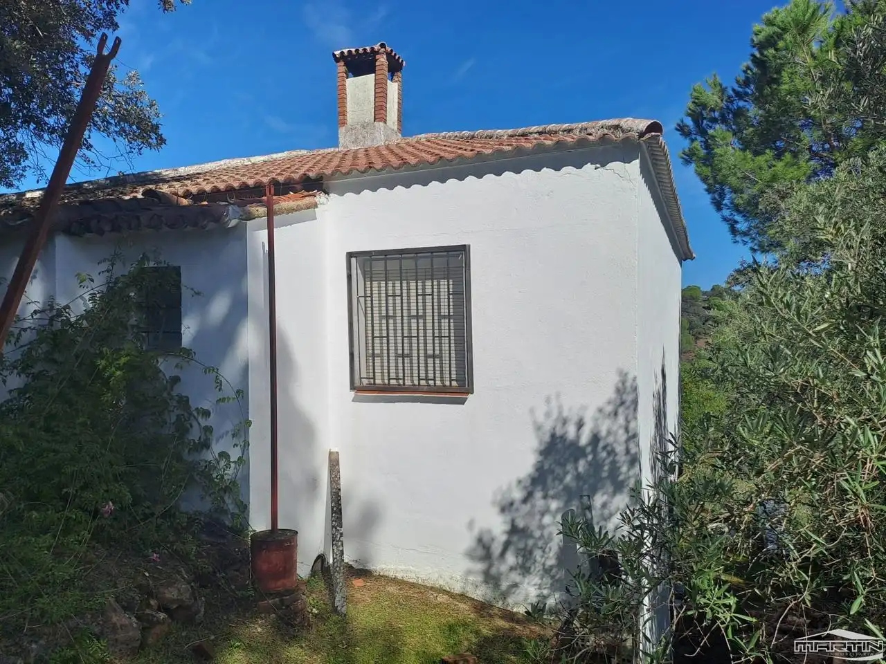 Vista exterior de Casa o chalet en venta en Villaviciosa de Córdoba con Piscina