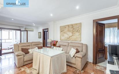 Sala d'estar de Pis en venda en  Granada Capital amb Calefacció, Terrassa i Balcó