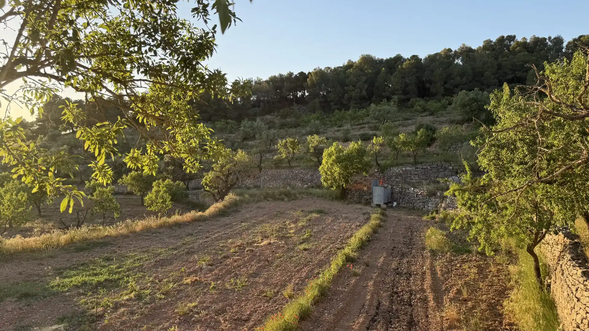 Finca rústica en venda en La Fatarella amb Jardí privat