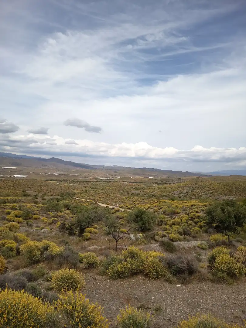 Terreno rustico in vendita a Alboloduy, imagen 30