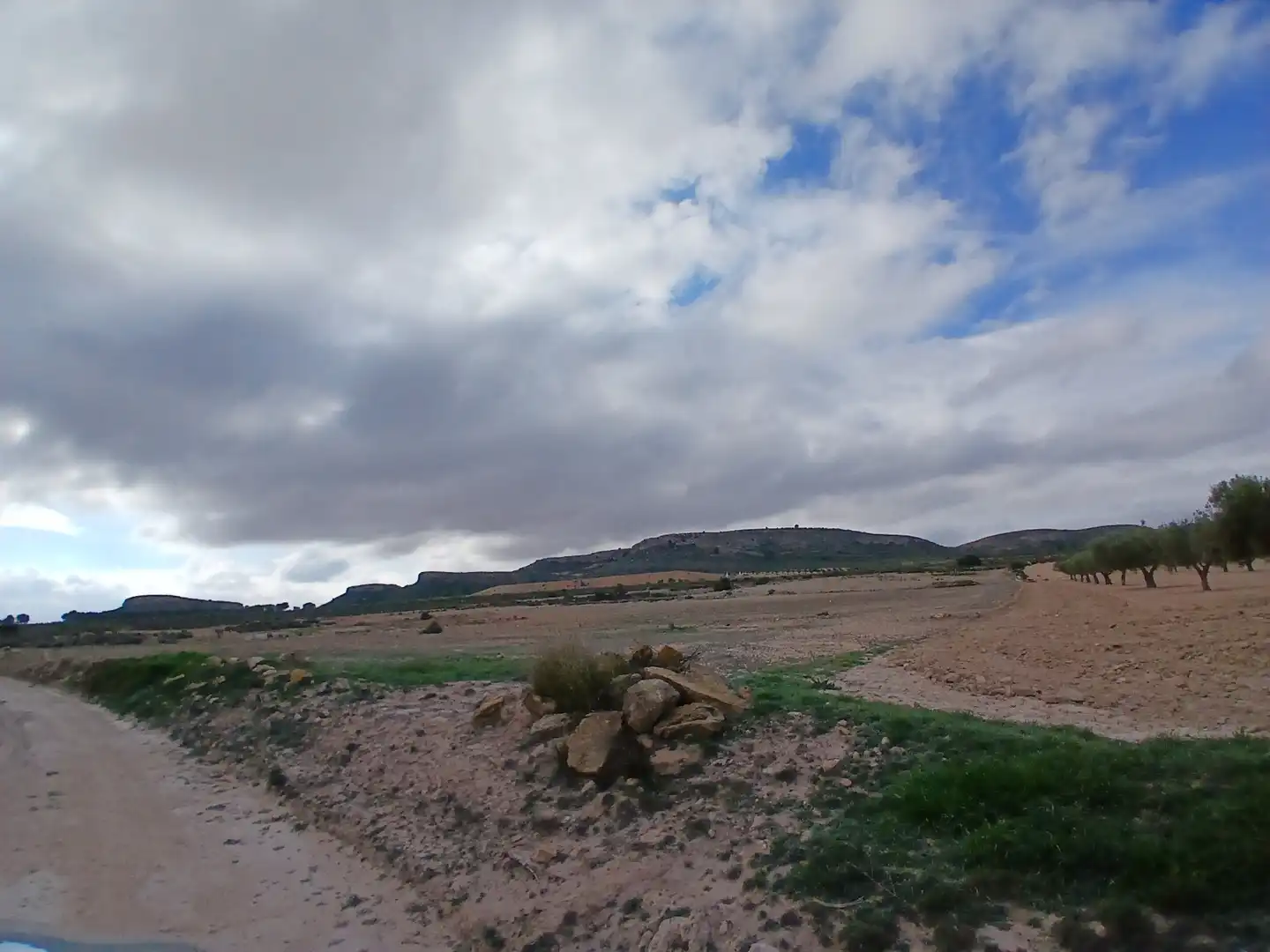 Residential land for sale in Yecla, imagen 14