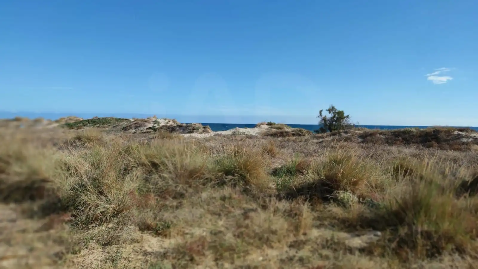 Villa à vendre à Oliva Nova, imagen 33