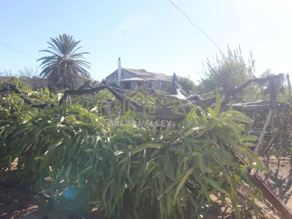 Finca rústica en venda en La Alcaidesa