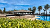 Swimming pool of Planta baja for sale in El Ejido  with Air Conditioner, Heating and Terrace