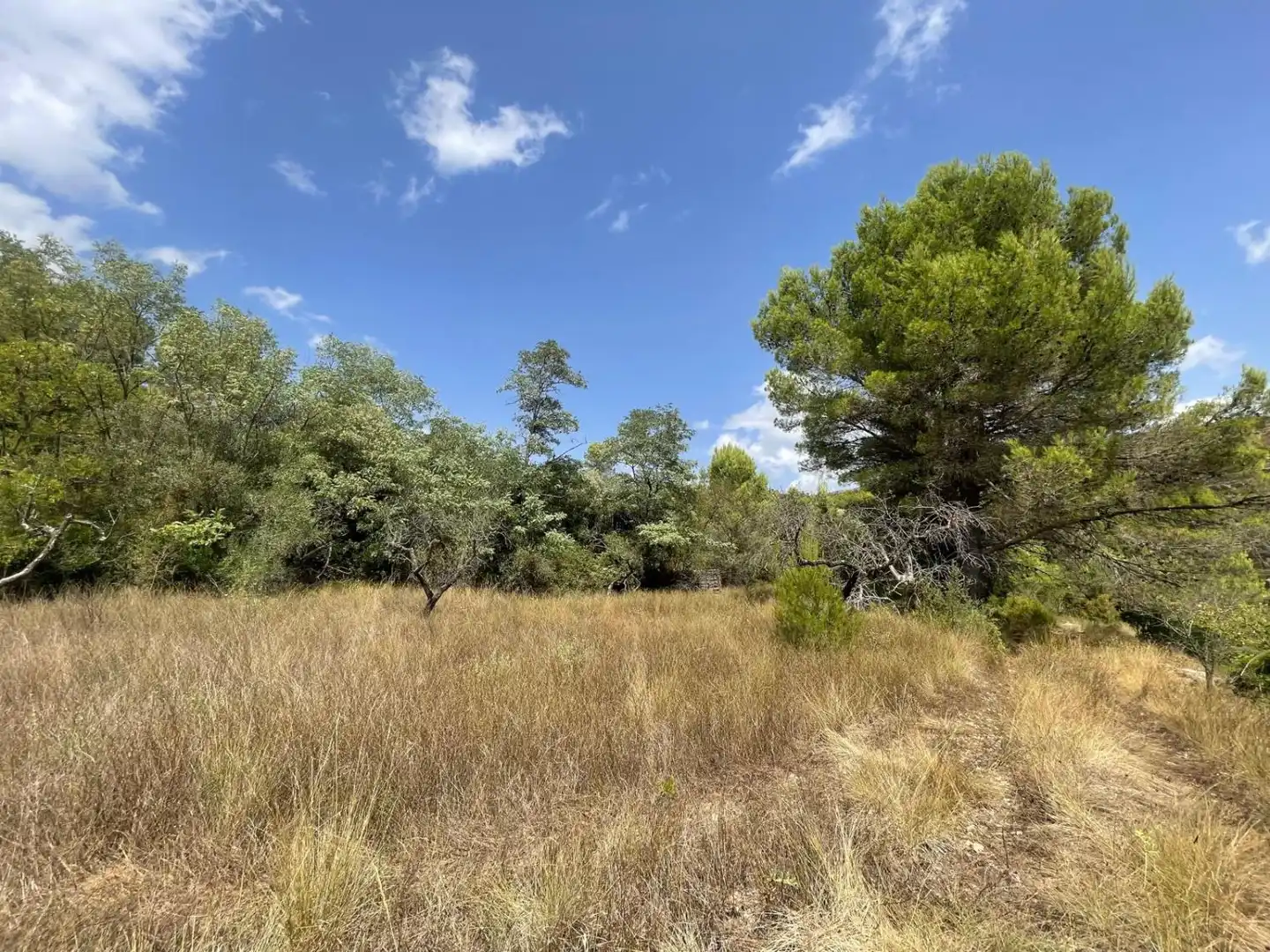Residencial en venda a N/A, Xert
