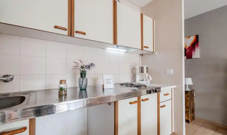 Studio with lift for sale in Santa Margarita, imagen 14