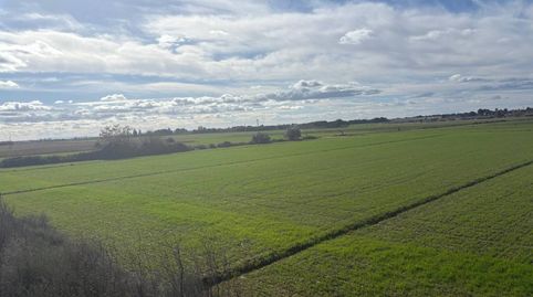 Foto 5 de Terreno en venta en Almacelles, Lleida