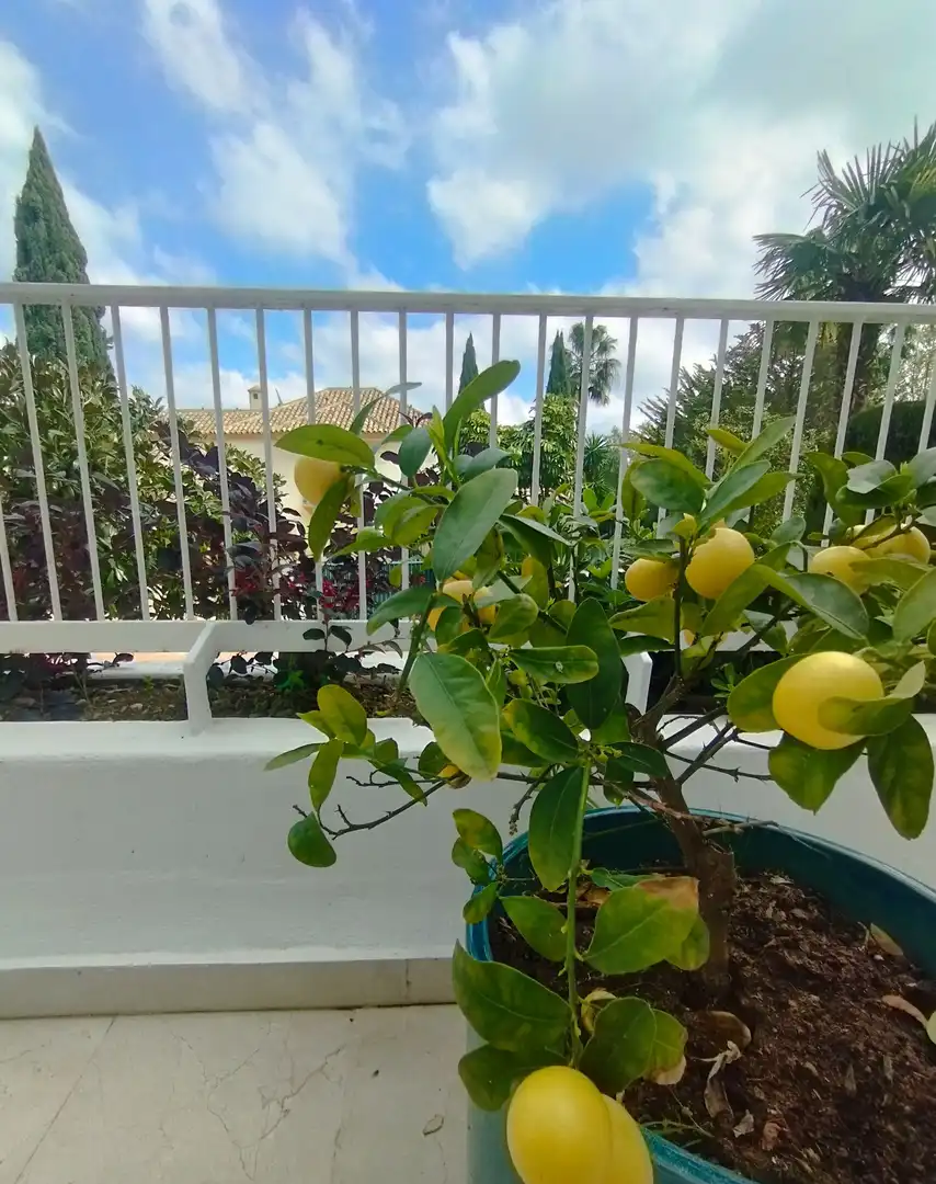 Garten von Maisonette zum Verkauf in Marbella mit Terrasse