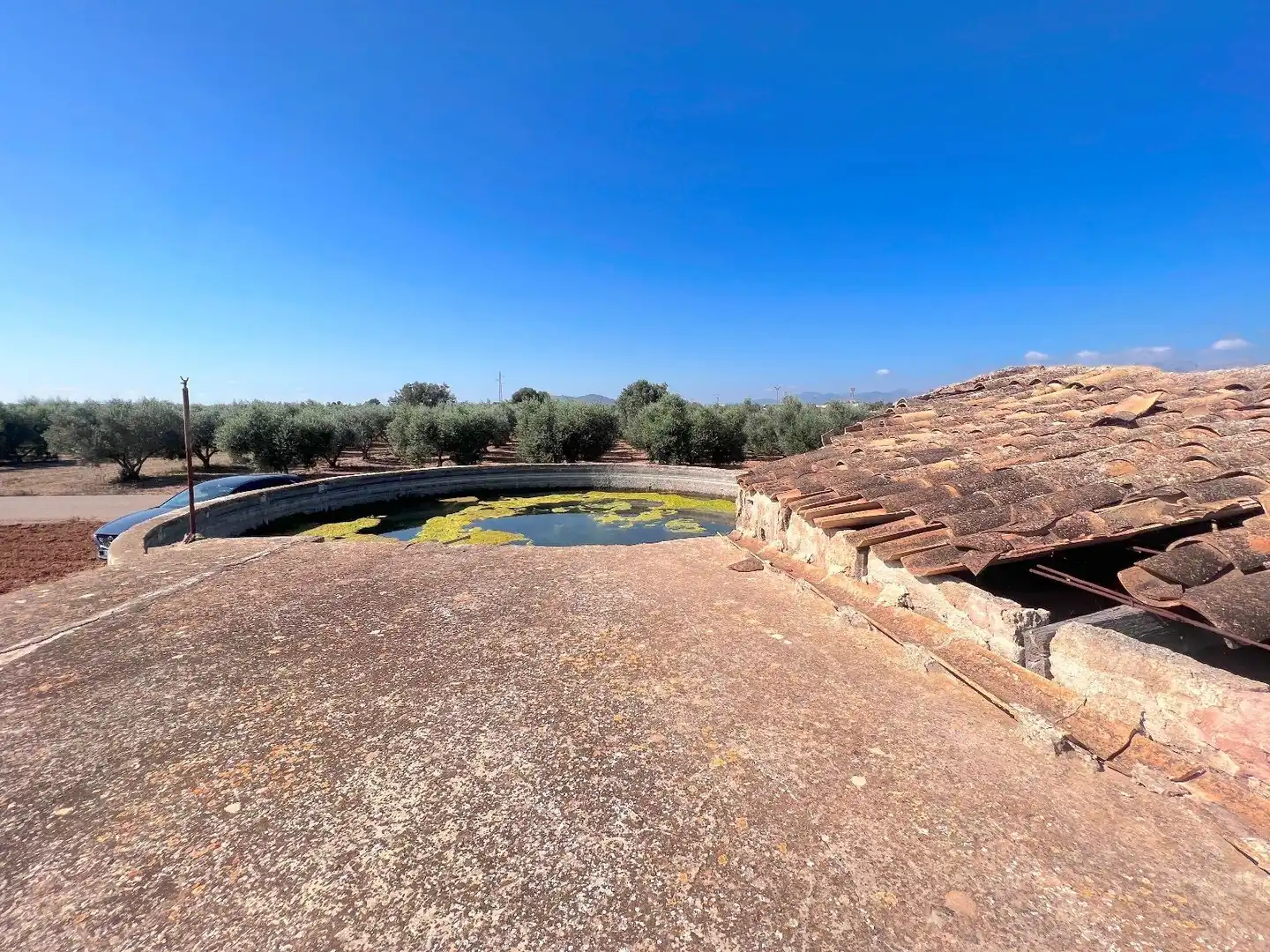 Wohnbaugrundstück zum Verkauf in Sa Pobla, imagen 8