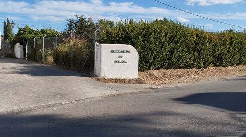 LA PARCELA QUE ESTAS BUSCANDO, immagine 3