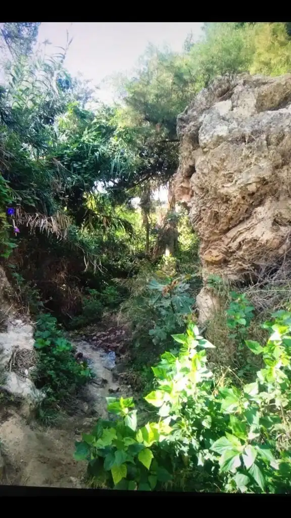 Terreni e lotti in vendita a Vejer, imagen 10