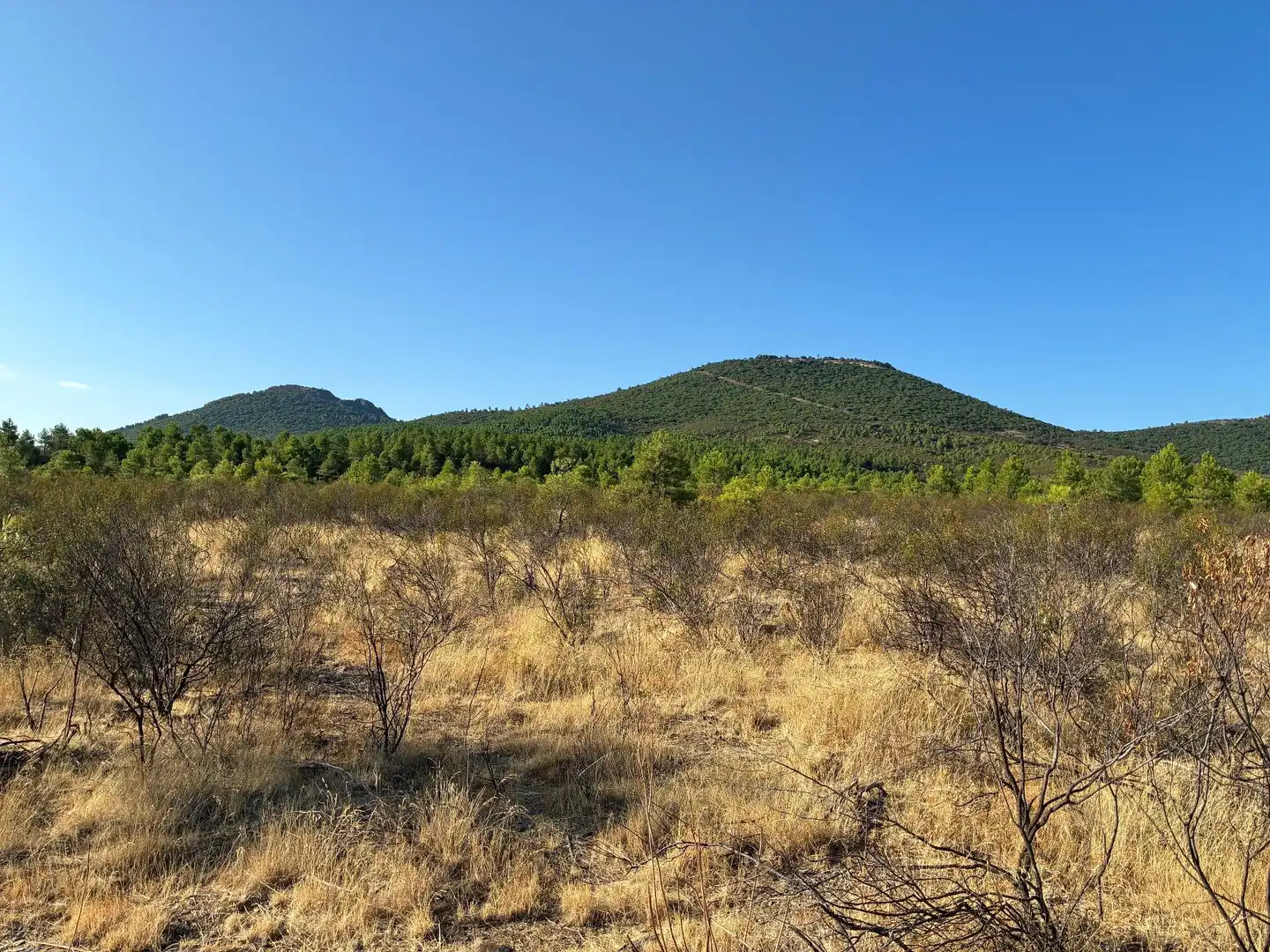 Rural land for sale in Puerto de San Vicente, imagen 2