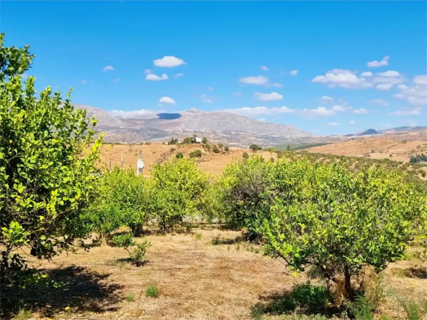 Piso en venta en Casarabonela con Aire acondicionado, Trastero y Amueblado