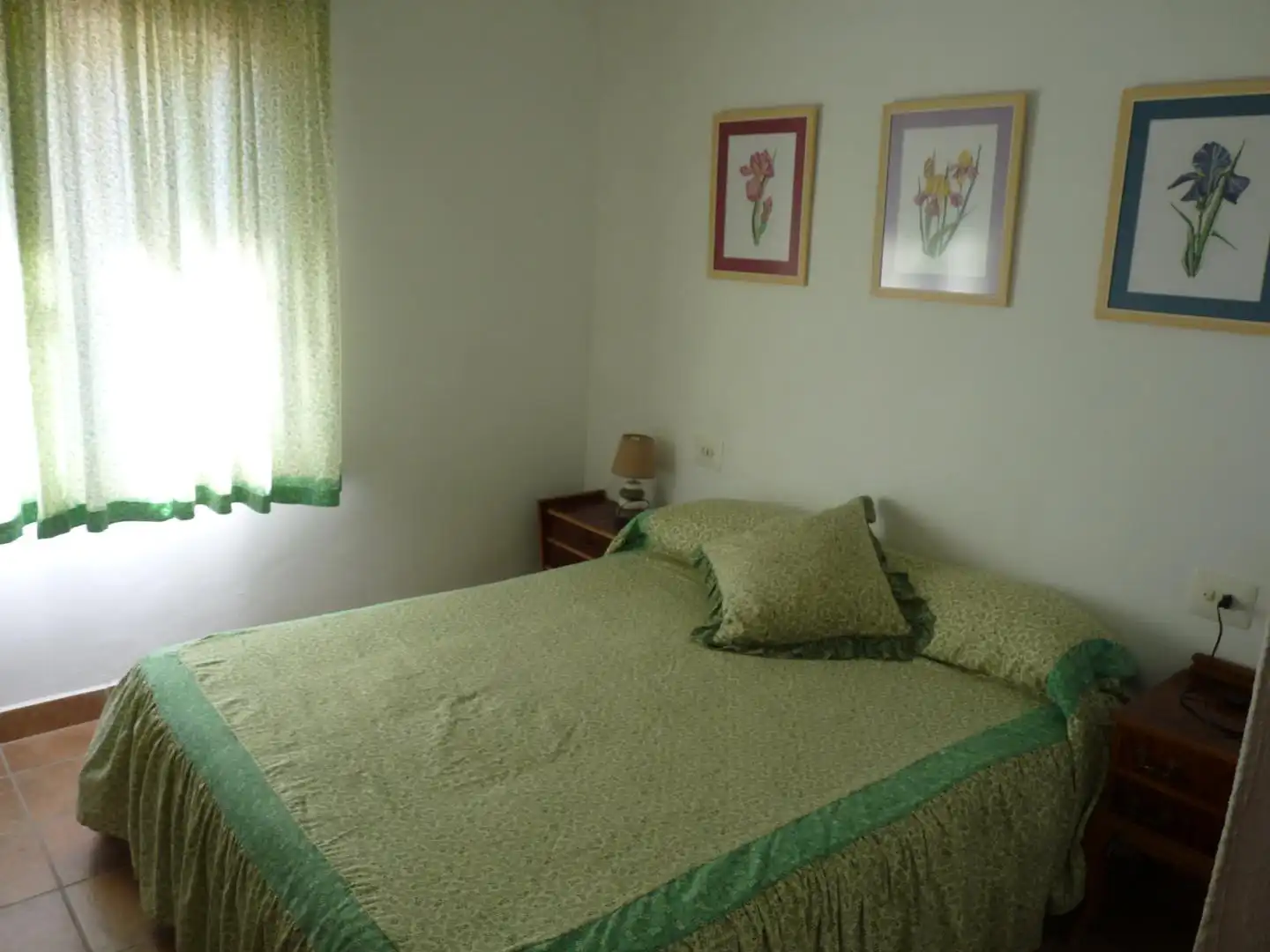 Houses for rent in Oliva Playa