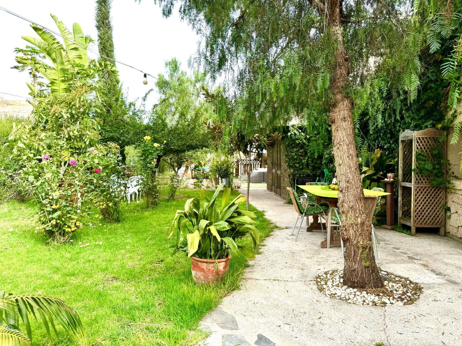 Garden of Apartment to share in Arafo  with Air Conditioner and Terrace