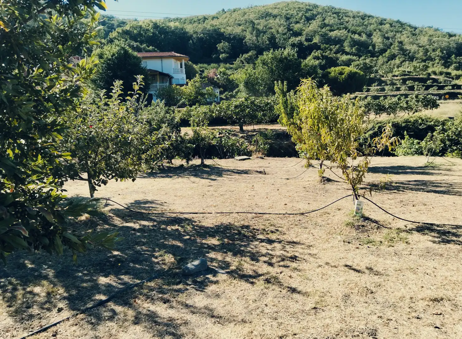 Terreni e lotti in vendita a Calle Jeromín 9, imagen 14