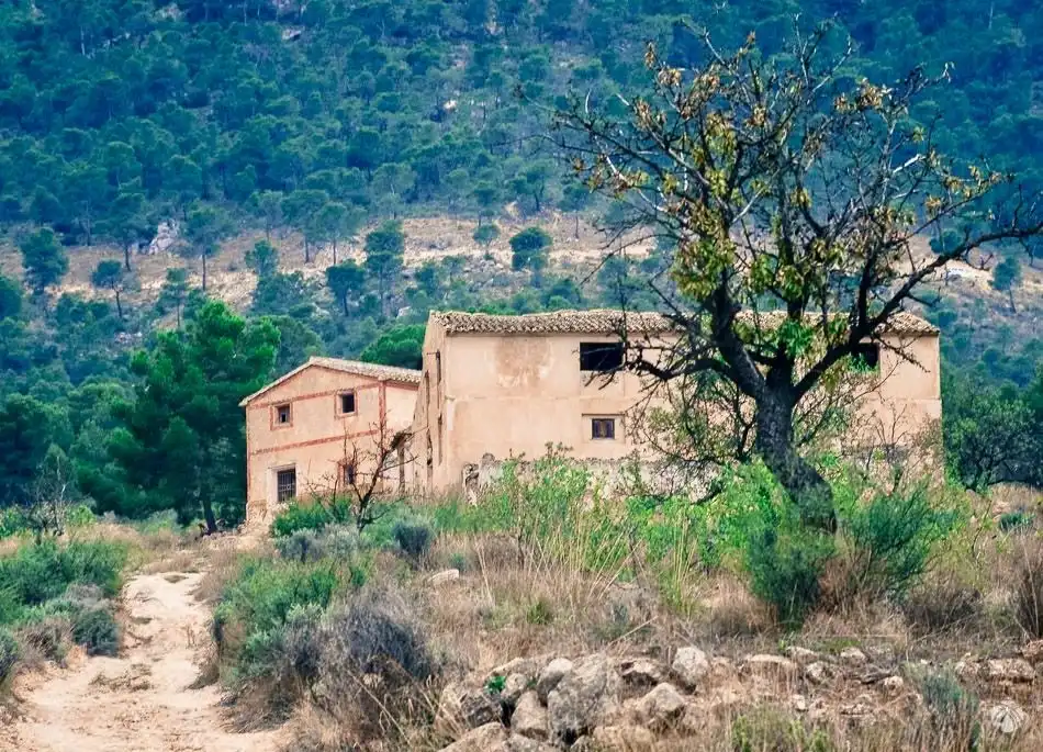 Terrain rustique à vendre à Cieza, imagen 2