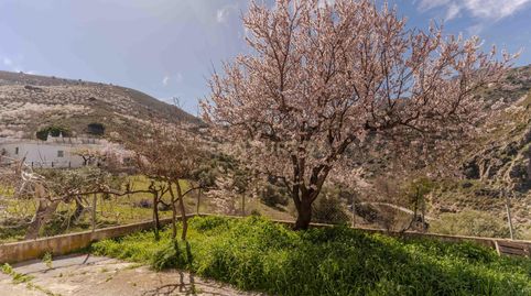 Photo 4 of Country homes for sale in Diseminado Diseminados, 160b, 18418, Granada, Spai, -1, Órgiva, Granada