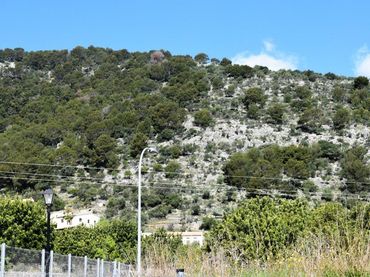 Terreny residencial en venda a Alaró