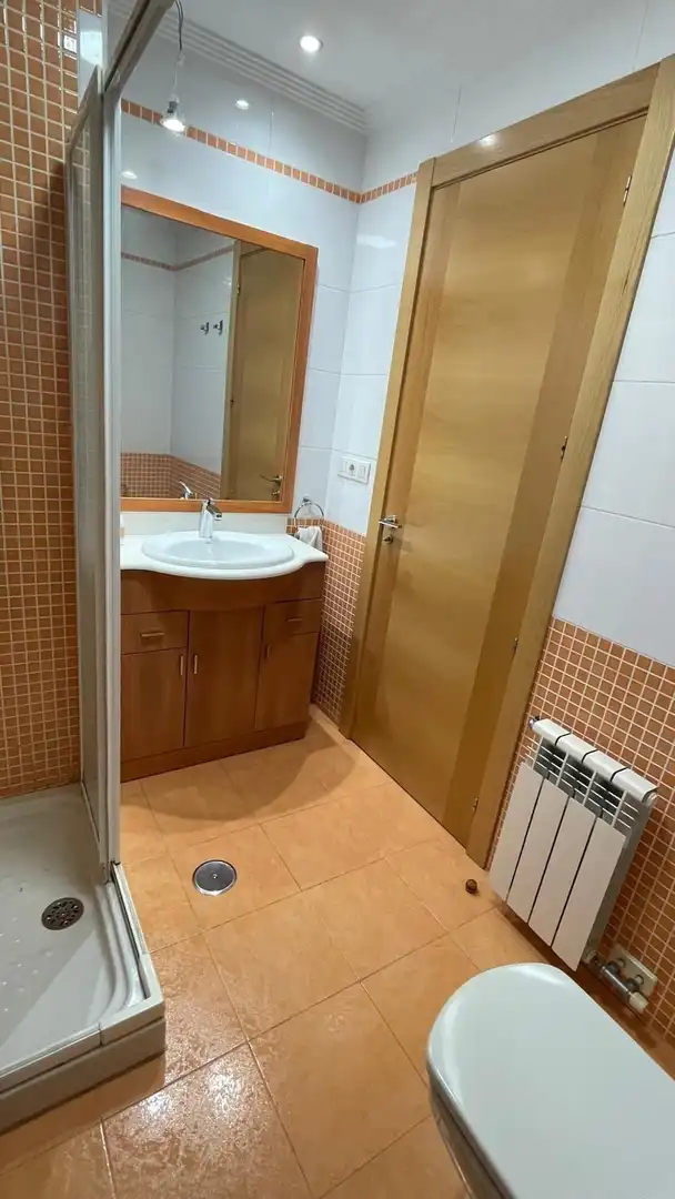 Piso con jardín en alquiler en Calle Calle Miradoiro, imagen 13